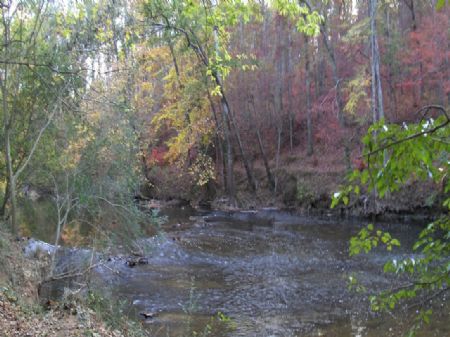 45 Acres, Cabin, Big Cedar Creek : Cave Spring : Floyd County : Georgia