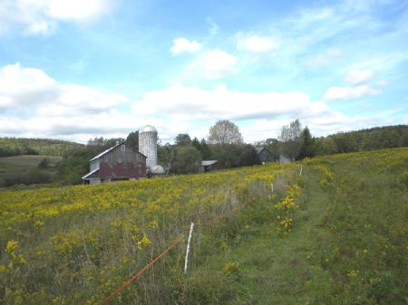 220 Acres Farm Barns Pasture Woods : Newark Valley : Tioga County : New York