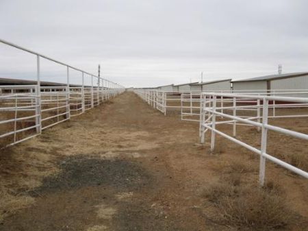 Veterinary Clinic & Stallion Farm : Clovis : Curry County : New Mexico