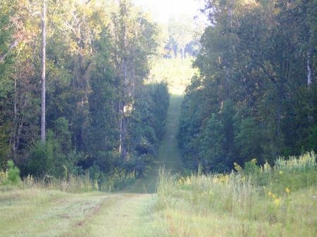 El Consuelo Plantation : Quincy : Gadsden County : Florida