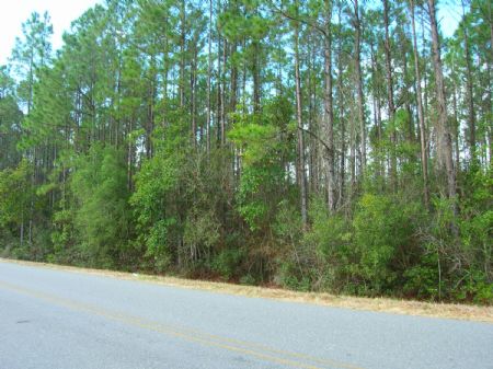 24.32 Ac West Of Starke : Starke : Bradford County : Florida