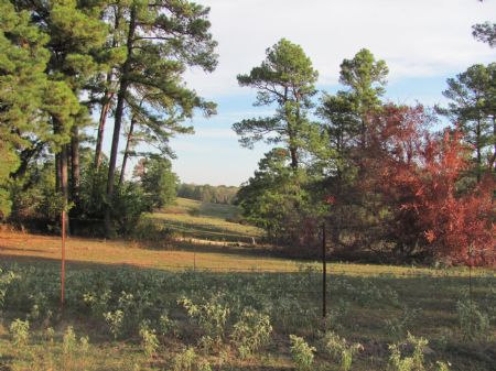 Little Ponderosa Ranch : Clarksville : Red River County : Texas