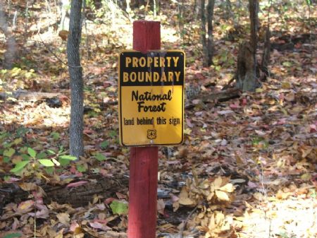 6.1 Acres Talladega National Forest : Marion : Perry County : Alabama