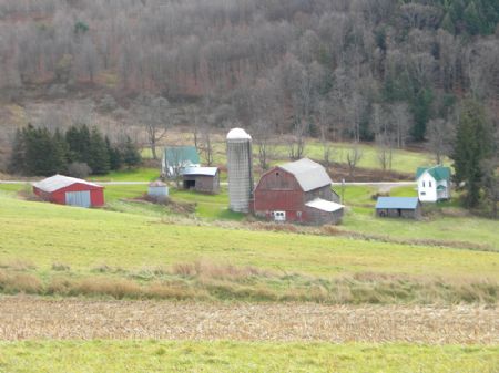325 Acres Former Dairy Farm 2 Homes : Greenwood : Steuben County : New York