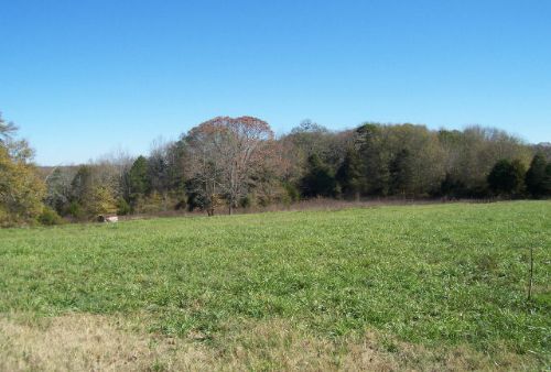 Residential / Recreational Land : Jefferson : Jackson County : Georgia