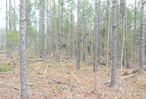 Tract 2731 : Lowndesville : Abbeville County : South Carolina