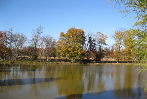 Spectacular Views : Siler City : Chatham County : North Carolina