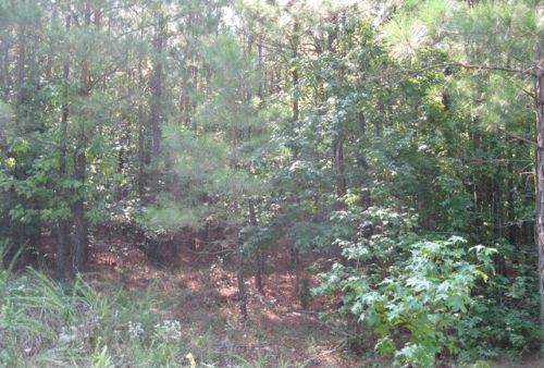 Spectacular Value : Pittsboro : Chatham County : North Carolina