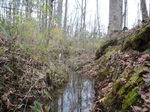 85 Acre Hunting Tract : Sparta : Hancock County : Georgia