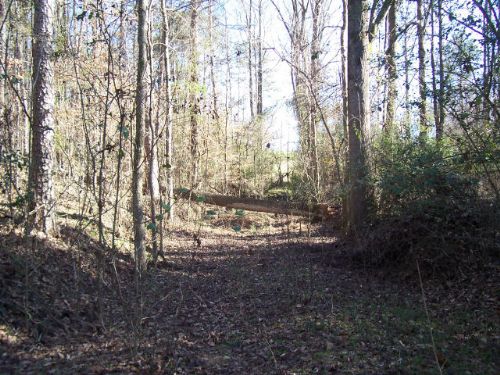 Residential / Recreational Land : Alto : Banks County : Georgia