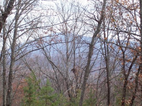 Acreage : Cleveland : White County : Georgia