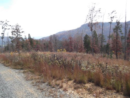 102 Bank Owned Acres : South Pittsburg : Marion County : Tennessee