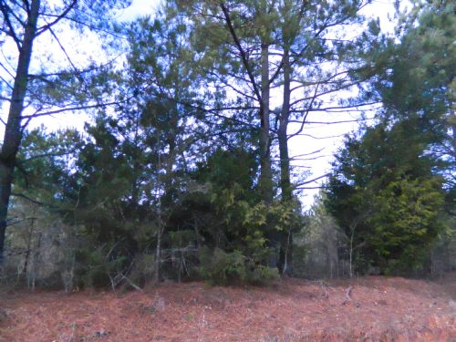 49.81 Acre Hunting Get-a-away : Carlton : Oglethorpe County : Georgia
