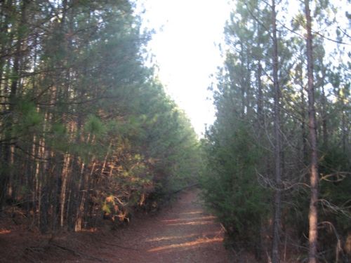 Duncan Creek 90 Tract : Whitmire : Laurens County : South Carolina