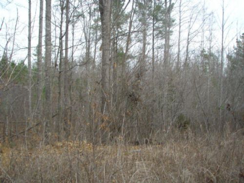 Pleasant Grove Hideaway - 18.20 Ac. : Keysville : Lunenburg County : Virginia