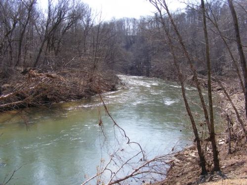 Truffles and River Front : Walnut Cove : Stokes County : North Carolina