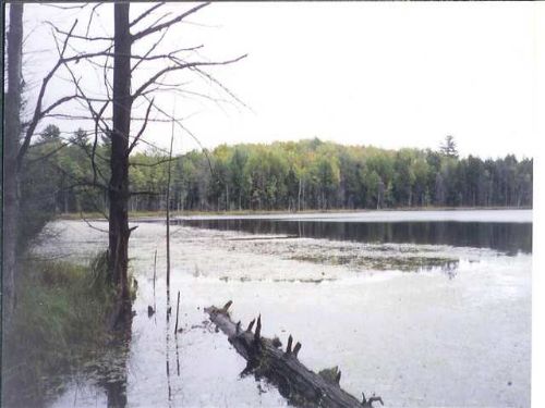 Sec 10 Off Co Rd 456 1064149 : Gwinn : Marquette County : Michigan