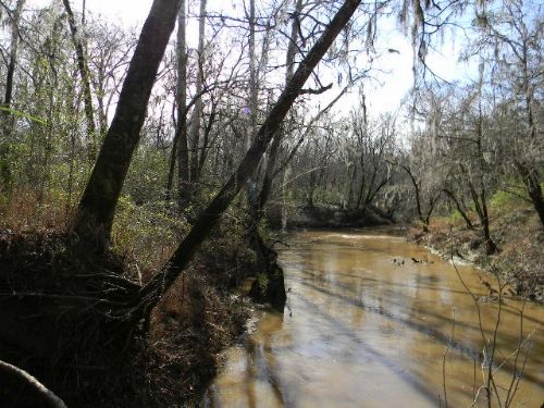 Excellent Hunting and Cattle Land : Montgomery : Montgomery County : Alabama