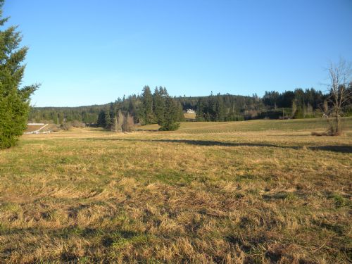Pasture and Homesite : Rochester : Thurston County : Washington