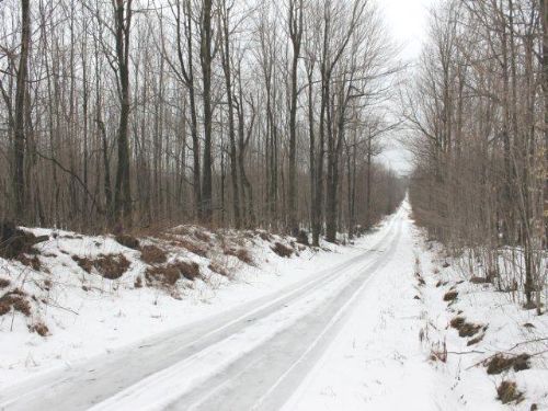 60+ Acres Private Hunting Land : Dickinson Center : Franklin County : New York