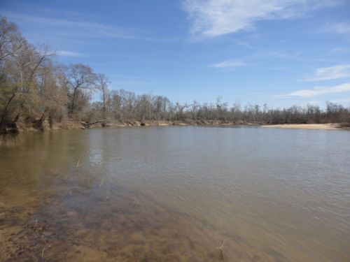 Riverfront- $985/acre : McRae-Helena : Telfair County : Georgia
