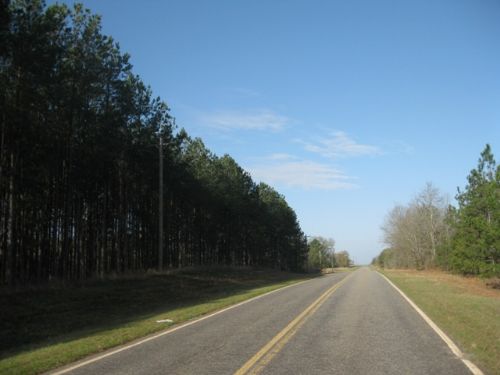 Graves Tract : Coleman : Randolph County : Georgia