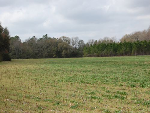 Acree Place : Acree : Worth County : Georgia