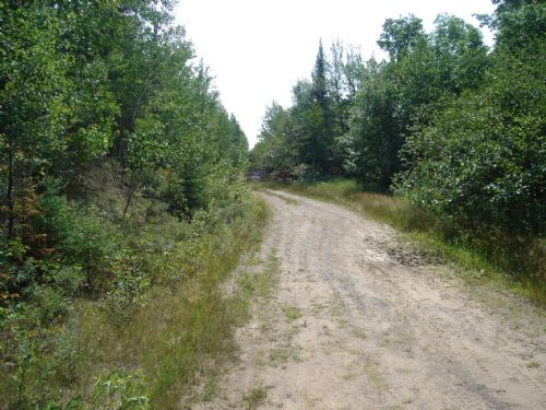 16.94 Ac Prime Hunting Land : Minocqua : Oneida County : Wisconsin