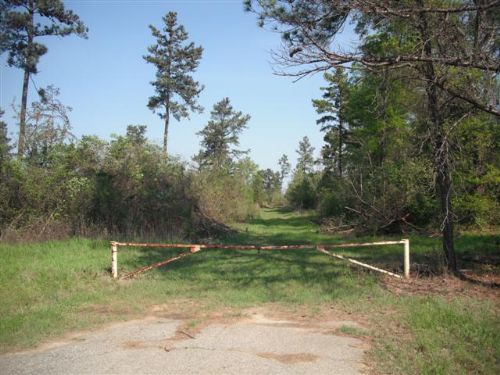 Great Buy- New Reduced Price : Perry : Houston County : Georgia