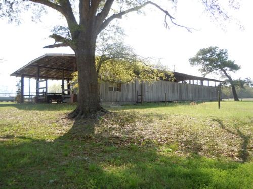 50+/- Acres Long Needle Farms : Claxton : Evans County : Georgia