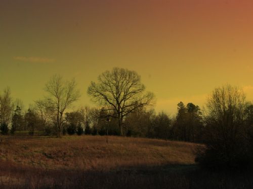 18.5 Acre Farm Near Interstate : Cowpens : Spartanburg County : South Carolina