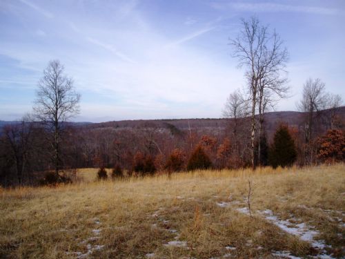 55 Acres Next To National Forest : Hagarville : Johnson County : Arkansas