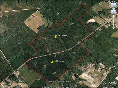 Timberland : Dublin : Laurens County : Georgia