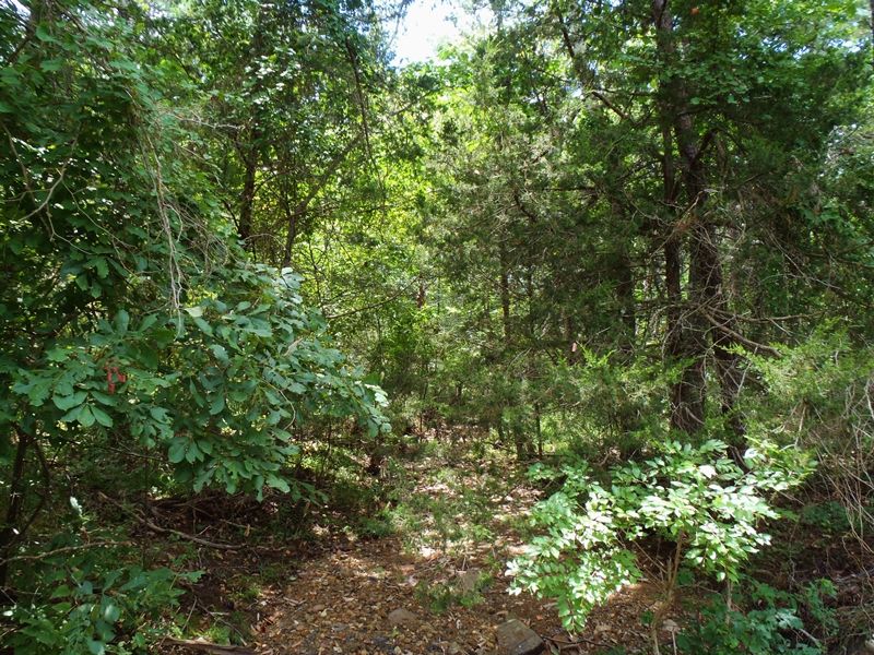Snow Rock : Snow : Pushmataha County : Oklahoma