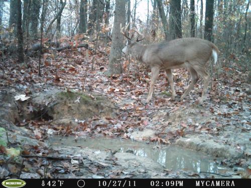 Lake Rupert Area Hunting Camp : Hamden : Vinton County : Ohio