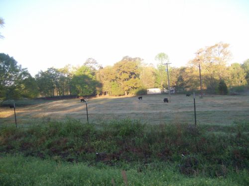 37 +/- Acres in Banks, Al : Banks : Pike County : Alabama