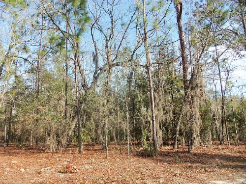 A-378 : Keystone Heights : Clay County : Florida