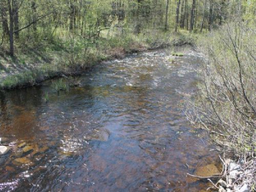 57 Acres Borders Forest and Stream : Montague : Lewis County : New York