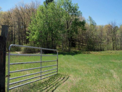 62 Acres On Fawn Lake Road : Lake Tomahawk : Oneida County : Wisconsin