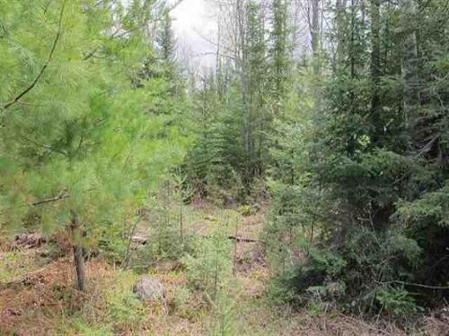 Tbd Luke Rd Mls 1066371 : Amasa : Iron County : Michigan