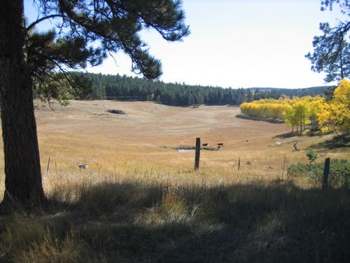 Grand Canyon Recreation Property : Sundance : Crook County : Wyoming