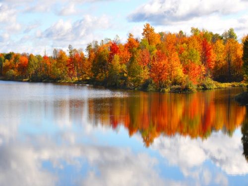 10 Acre 2300 Feet On River & Lake : Antwerp : Jefferson County : New York