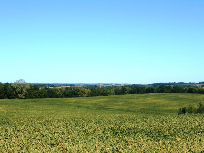 200 Acres : King City : Gentry County : Missouri