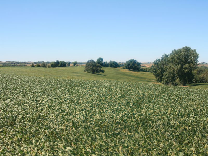 113 Acres Is 80% Tillable : Grant City : Worth County : Missouri