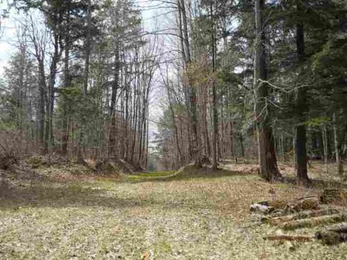Tbd Off Black Creek Rd Mls1066477 : Arvon : Baraga County : Michigan