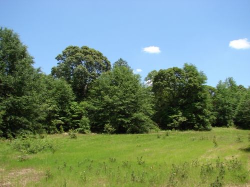 270 Acres : Prattville : Autauga County : Alabama