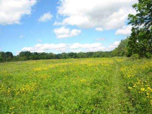 25 Acres Farmland Finger Lakes Ny : Ulysses : Tompkins County : New York