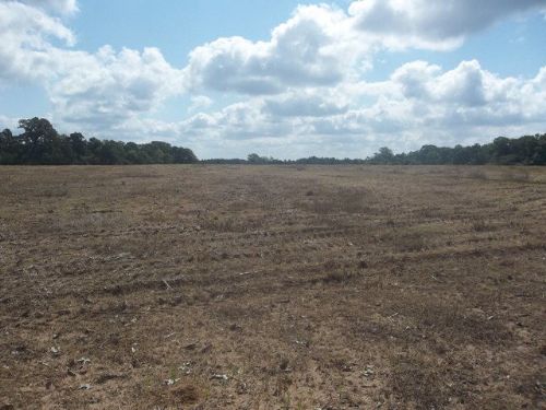 386 +/- Acres in Elba, Al : Elba : Coffee County : Alabama