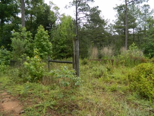 15.86 Acres with Pond : Carlton : Oglethorpe County : Georgia