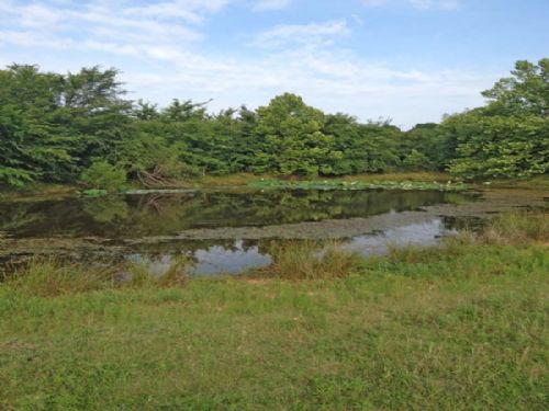 Deep Fork Game Lands Tract 4 : Mason : Okfuskee County : Oklahoma